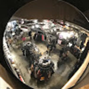 Meet your Posher, Bella